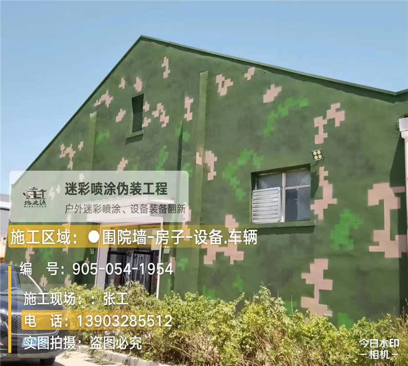 昌都外墙数码迷彩漆施工报价清单（100㎡标准墙面测算）